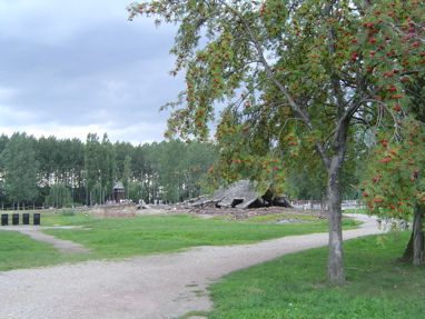 DSC00604