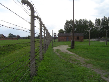 DSC00605