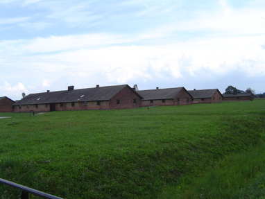 DSC00606