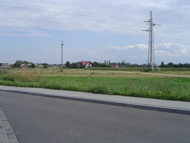 DSC00502
