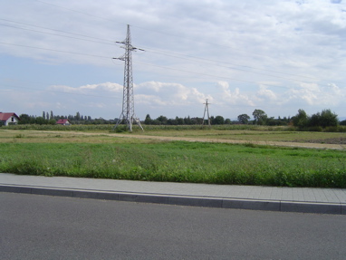 DSC00503
