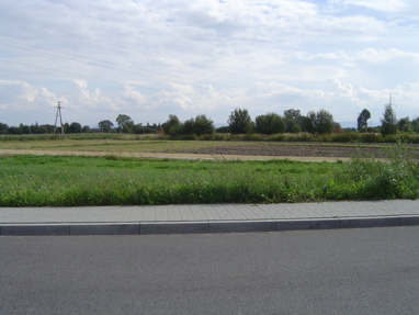 DSC00504