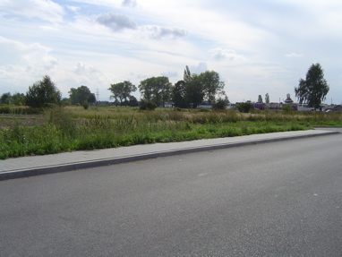 DSC00506