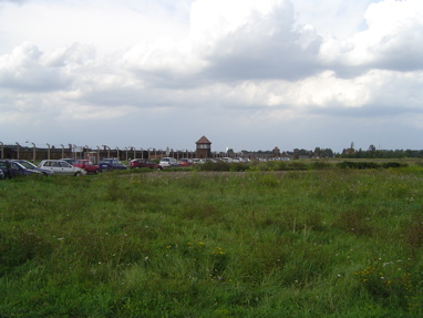 DSC00514