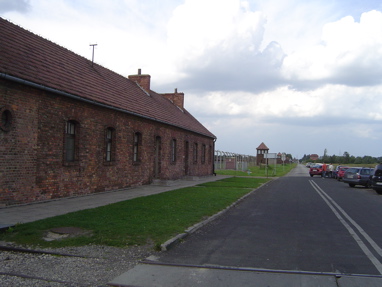 DSC00516