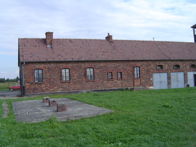 DSC00523