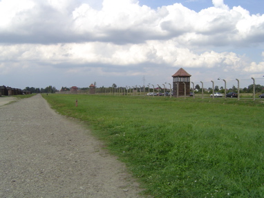 DSC00525