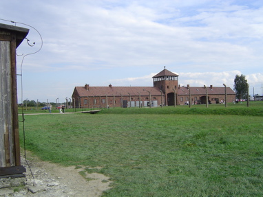 DSC06018