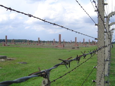 DSC06019