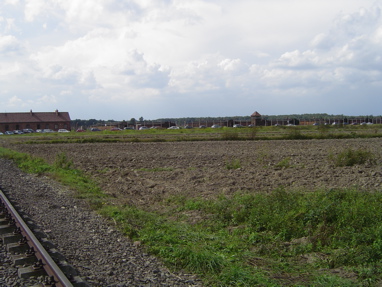 DSC00491
