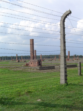 DSC06022