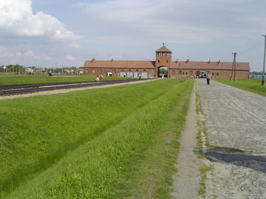 DSC00539