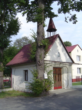 DSC00615