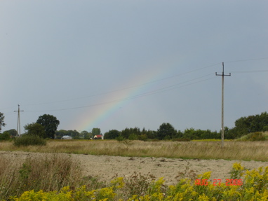 DSC02873