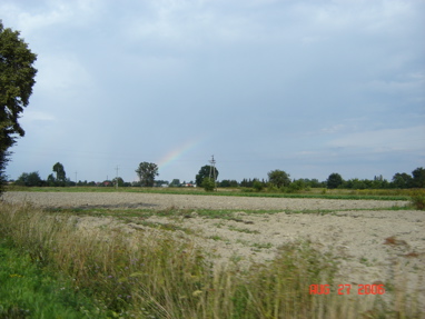 DSC02875
