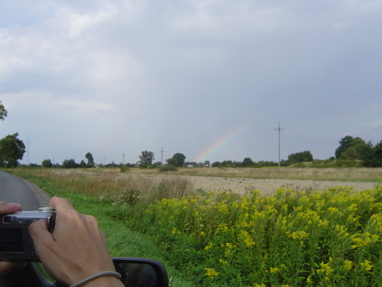 DSC06031