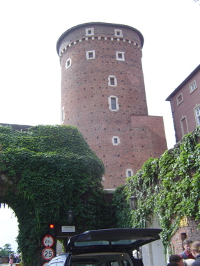 DSC06051