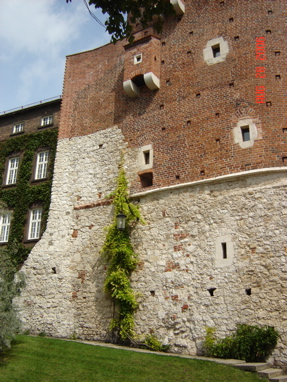 DSC02927