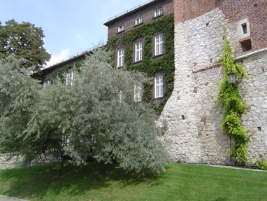 DSC06052