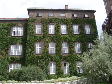 DSC00698