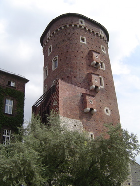 DSC00699