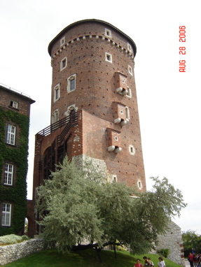 DSC02933