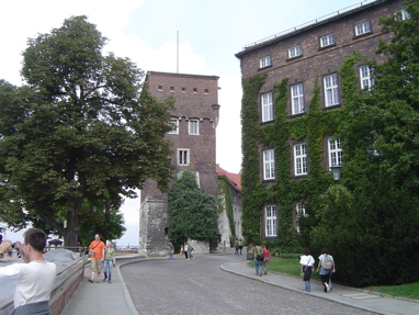DSC00701
