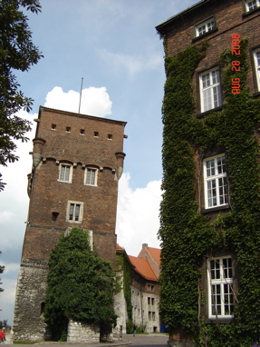 DSC02935