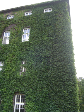 DSC00704