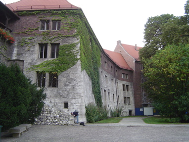 DSC00706