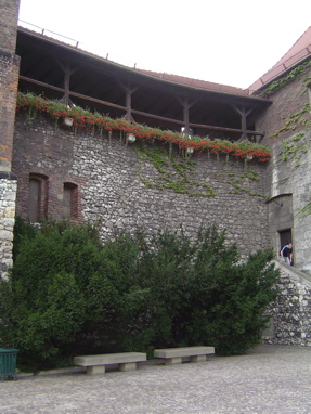 DSC00708
