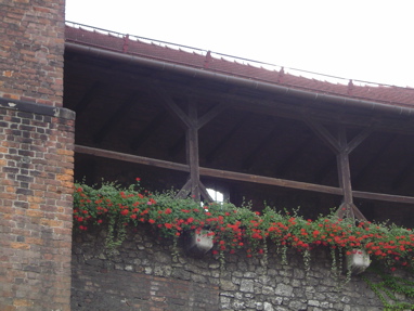 DSC06061