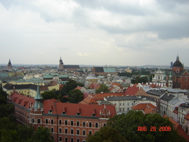 DSC02993