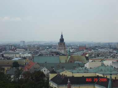 DSC02994