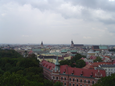 DSC00741