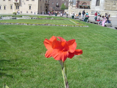 DSC00764