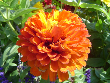 DSC00767