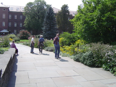 DSC00769