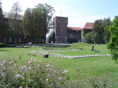 DSC00770