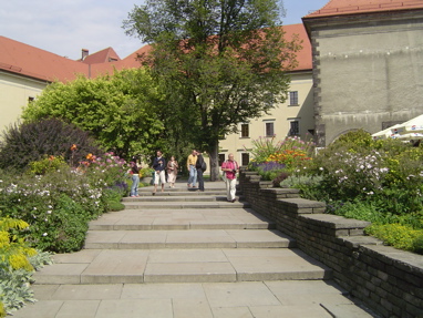 DSC00771
