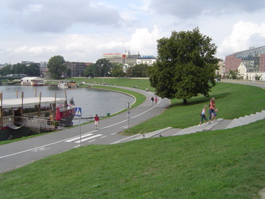 DSC00654