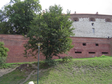 DSC00658