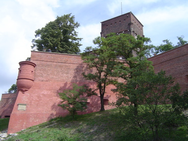 DSC00661