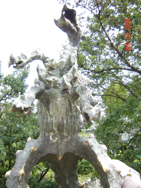 DSC02916