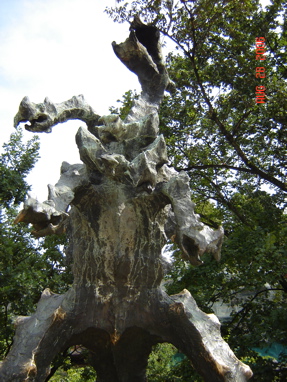 DSC02917