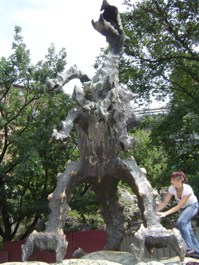 DSC00664