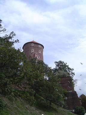 DSC00666
