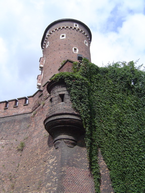 DSC00673