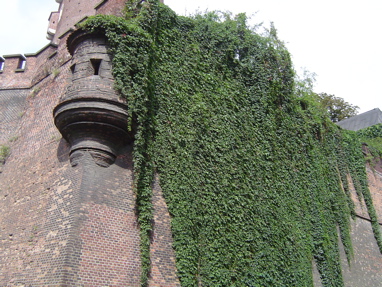 DSC00675