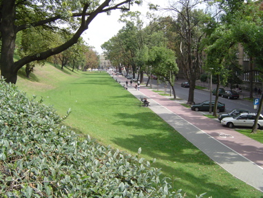 DSC00681